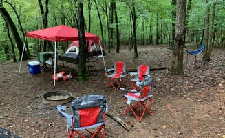 Nancy L.'s photo at Watson Mill Bridge State Park Campground near Greensboro, GA