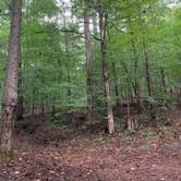 Review photo of Watson Mill Bridge State Park Campground by Nancy L., October 26, 2020