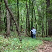 Review photo of Watson Mill Bridge State Park Campground by Nancy L., October 26, 2020