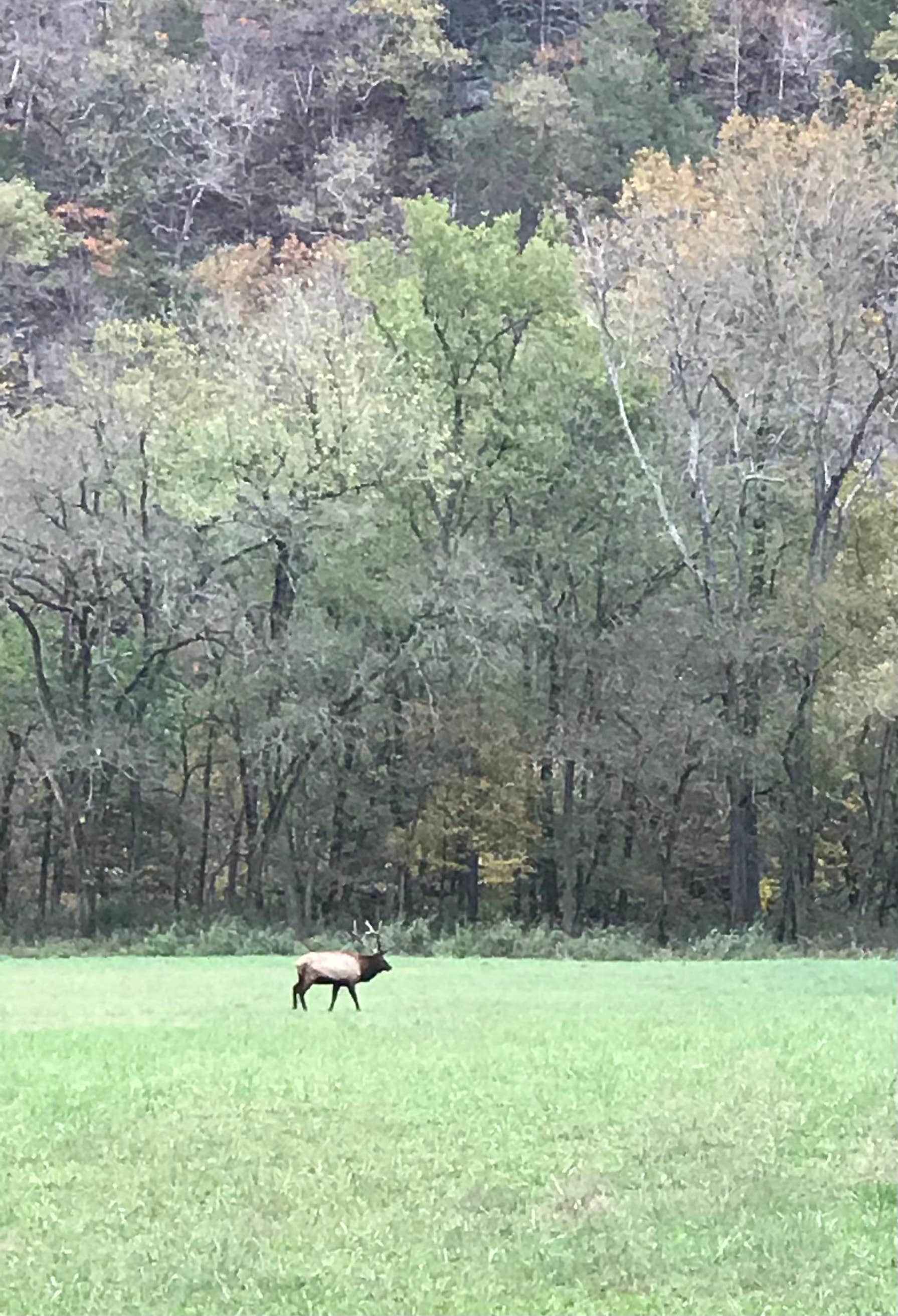 Camper submitted image from Buffalo outdoor center - 4