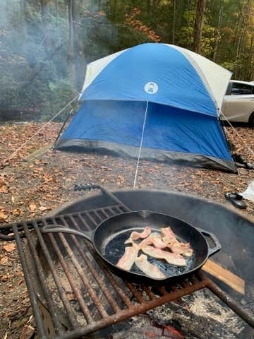 Santin B.'s photo at Frank Gross Campground — Chattahoochee Oconee National Forest near Chattahoochee-Oconee National Forest