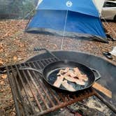 Review photo of Frank Gross Campground — Chattahoochee Oconee National Forest by Santin B., October 26, 2020