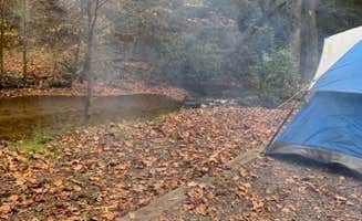 Santin B.'s photo at Frank Gross Campground — Chattahoochee Oconee National Forest near Chattahoochee-Oconee National Forest