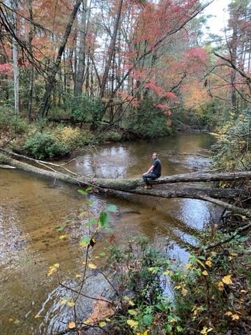 Camper submitted image from Frank Gross Campground — Chattahoochee Oconee National Forest - 5