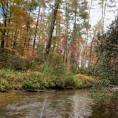 Review photo of Frank Gross Campground — Chattahoochee Oconee National Forest by Santin B., October 26, 2020