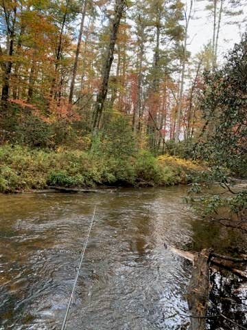 Camper submitted image from Frank Gross Campground — Chattahoochee Oconee National Forest - 3