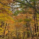 Review photo of Fisherman's Island State Park Campground by Kathie M., October 26, 2020