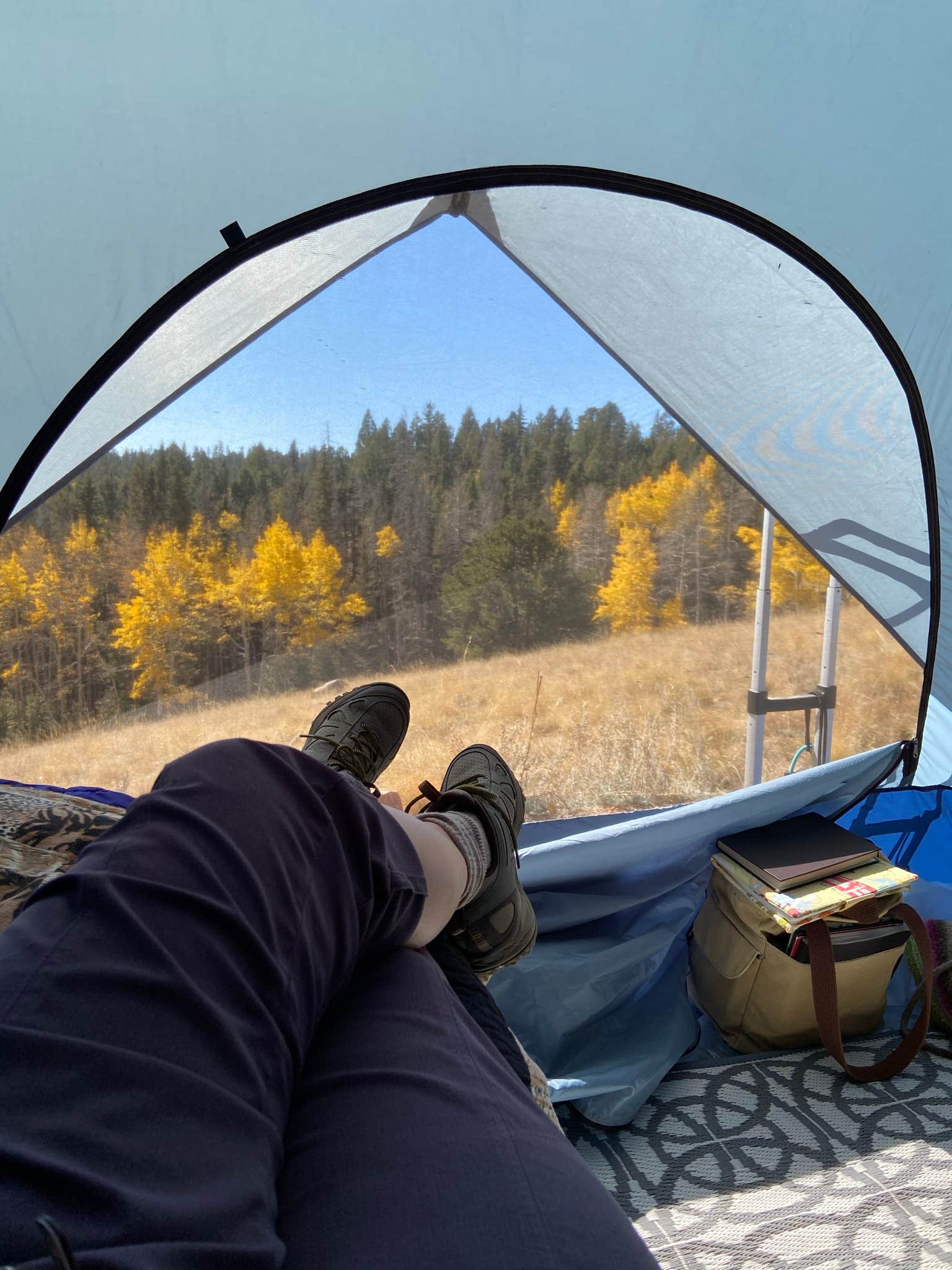 Caryl D.'s photo at Mueller State Park Campground near Cripple Creek, CO