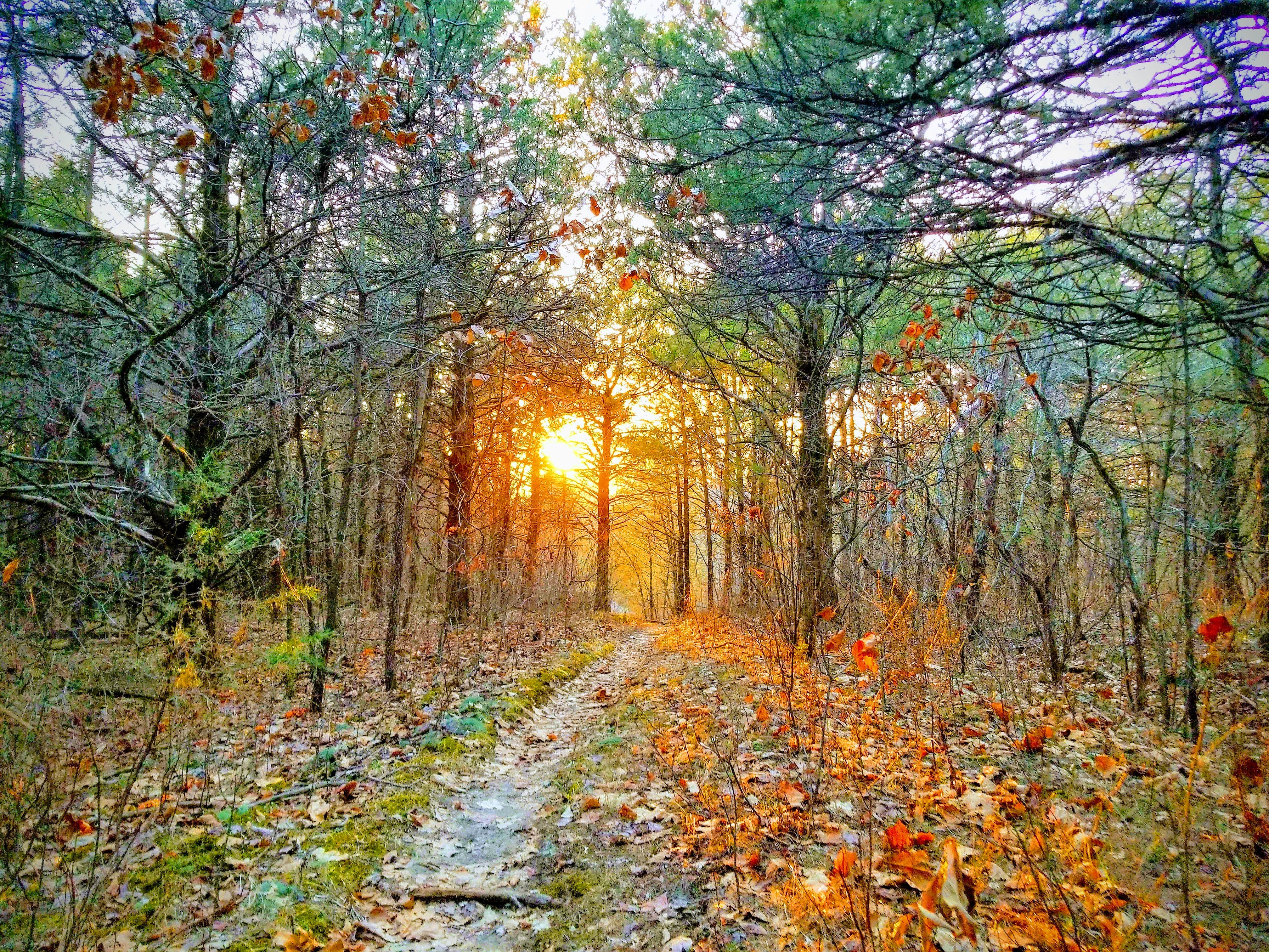 Camper submitted image from Dry Fork Recreation Area - 5