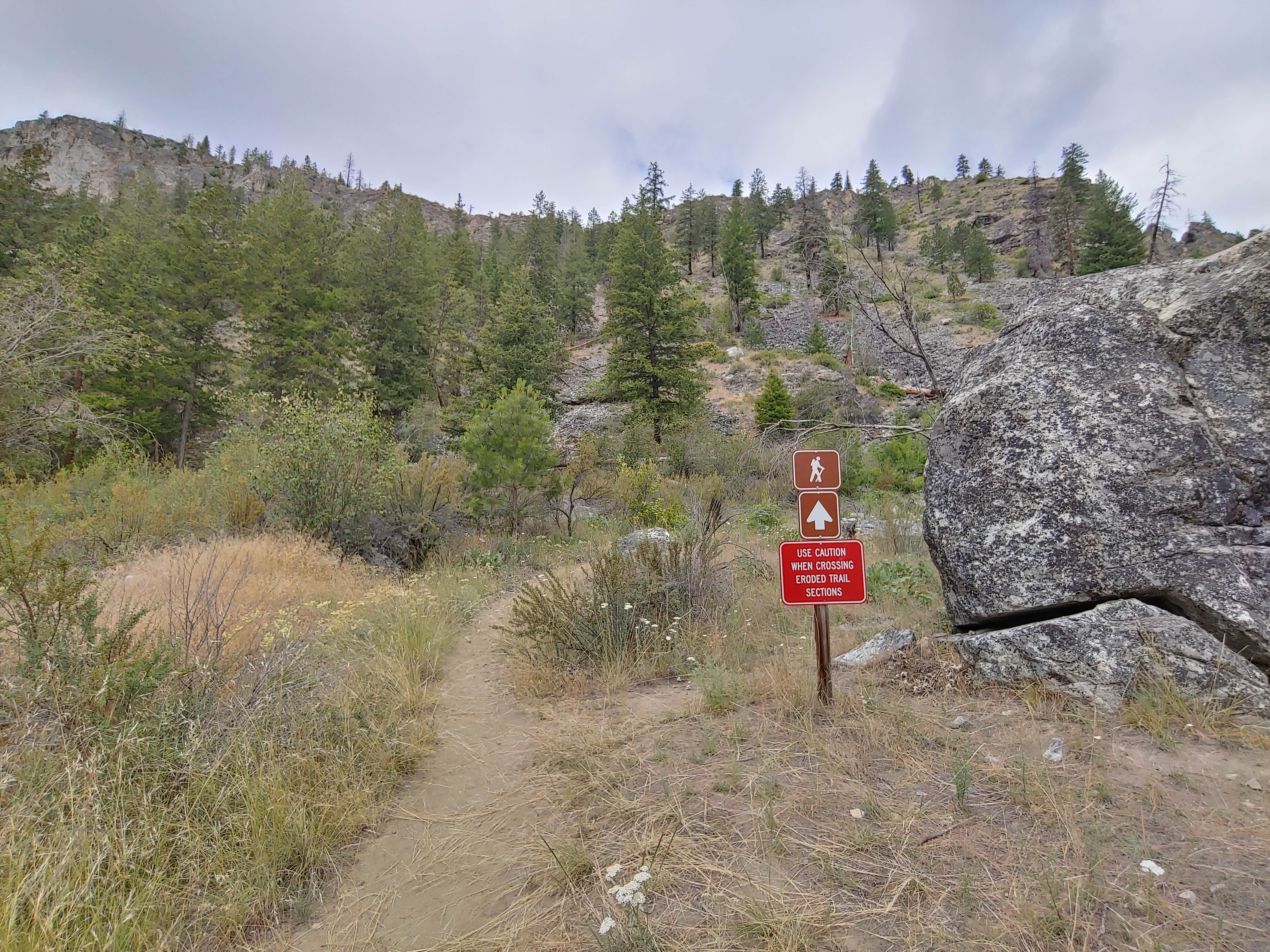 Camper-submitted photo at Alta Lake State Park Campground near Chelan, WA