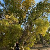 Review photo of North Sterling State Park Campground by Caryl D., October 26, 2020