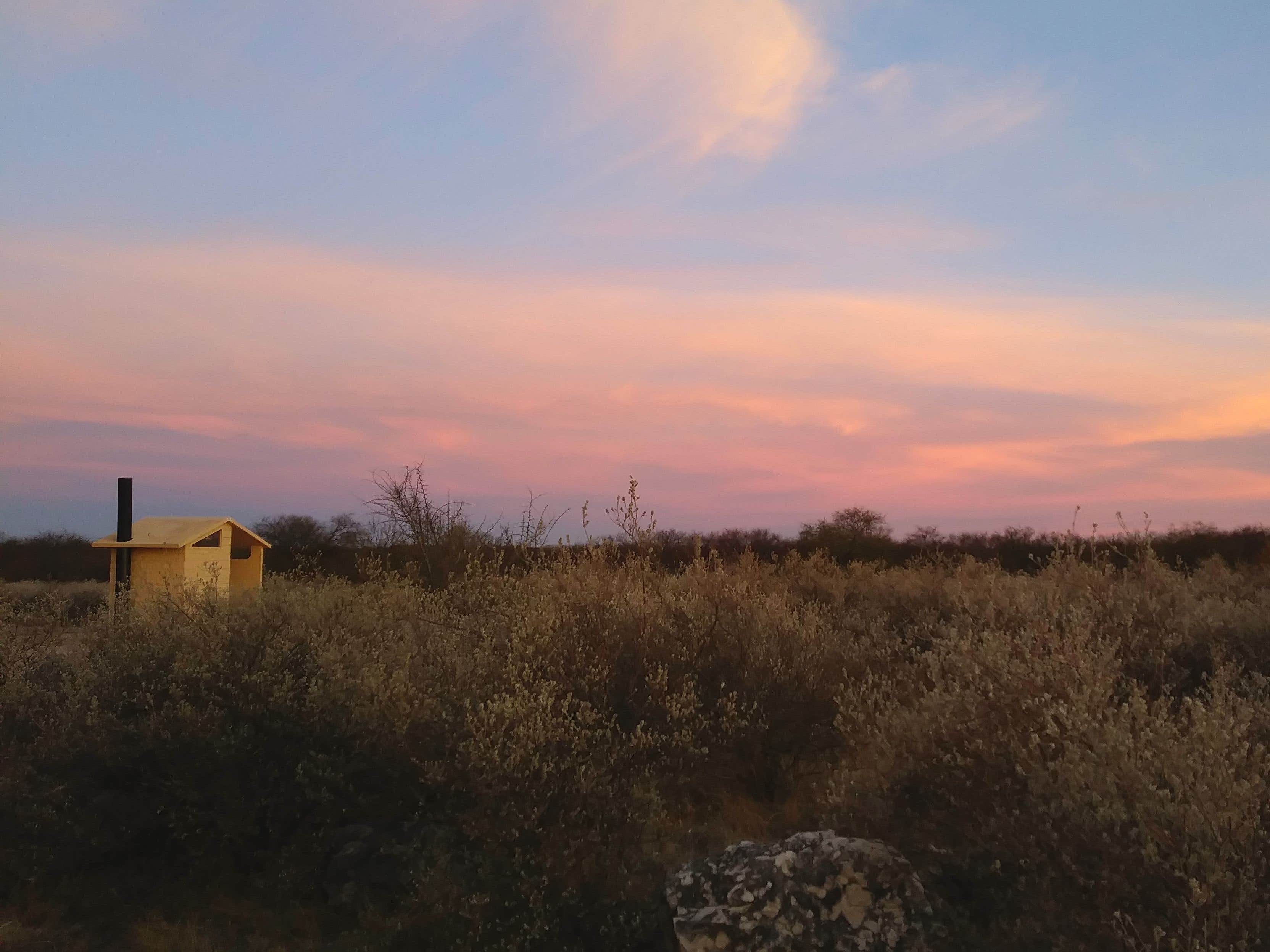 Camper submitted image from San Pedro Campground — Amistad National Recreation Area - 4