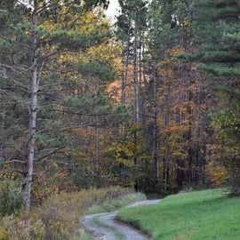 Trail in the Shadow Lake resort