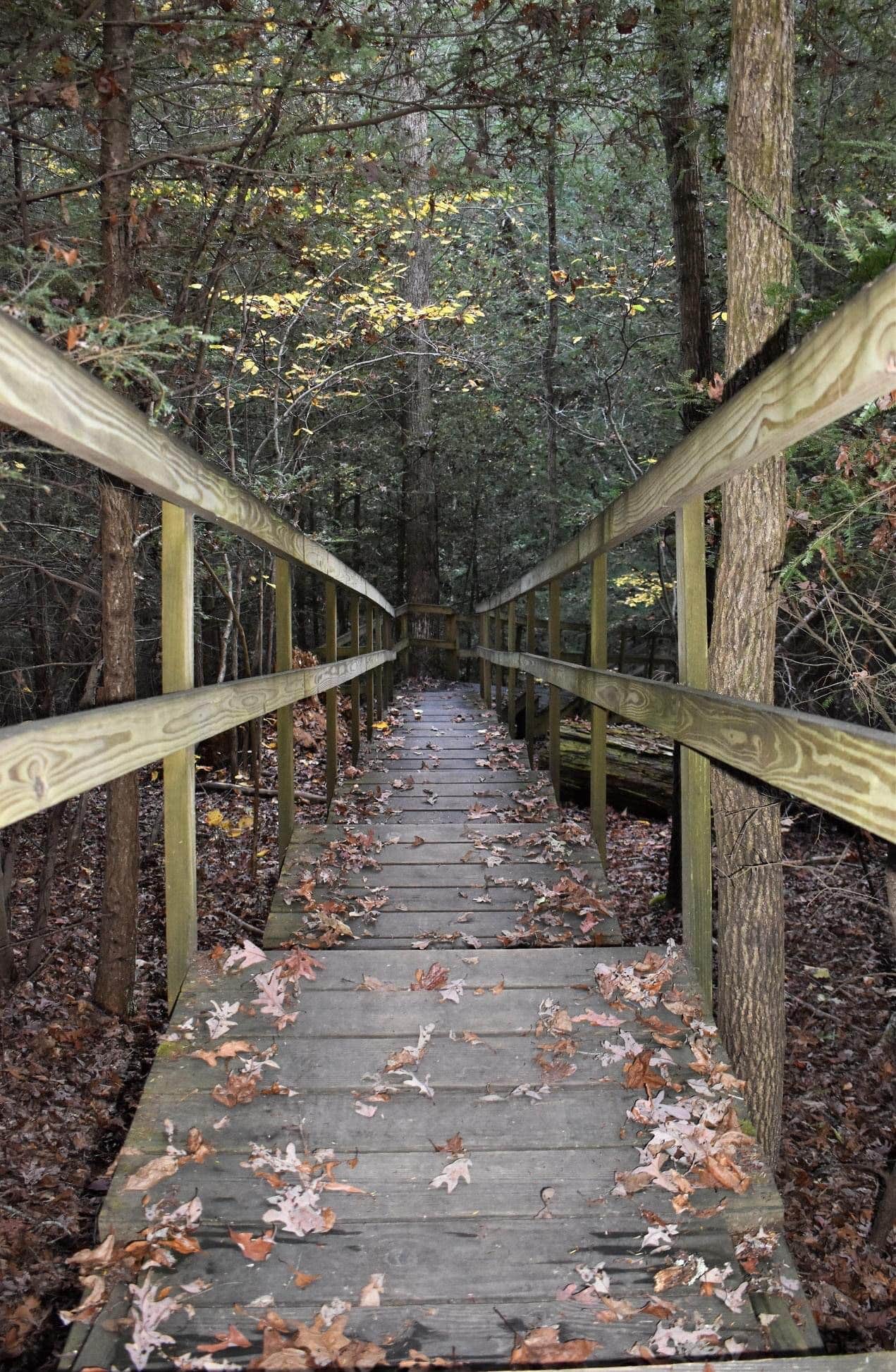 Camper-submitted photo at Shadow Lake RV Resort near Valley View, OH