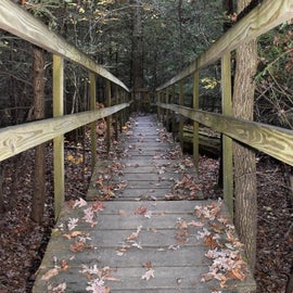 Stairs leading to Raven’s Rock