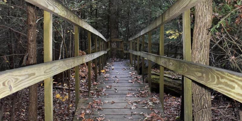 Camper submitted image from Shadow Lake RV Resort