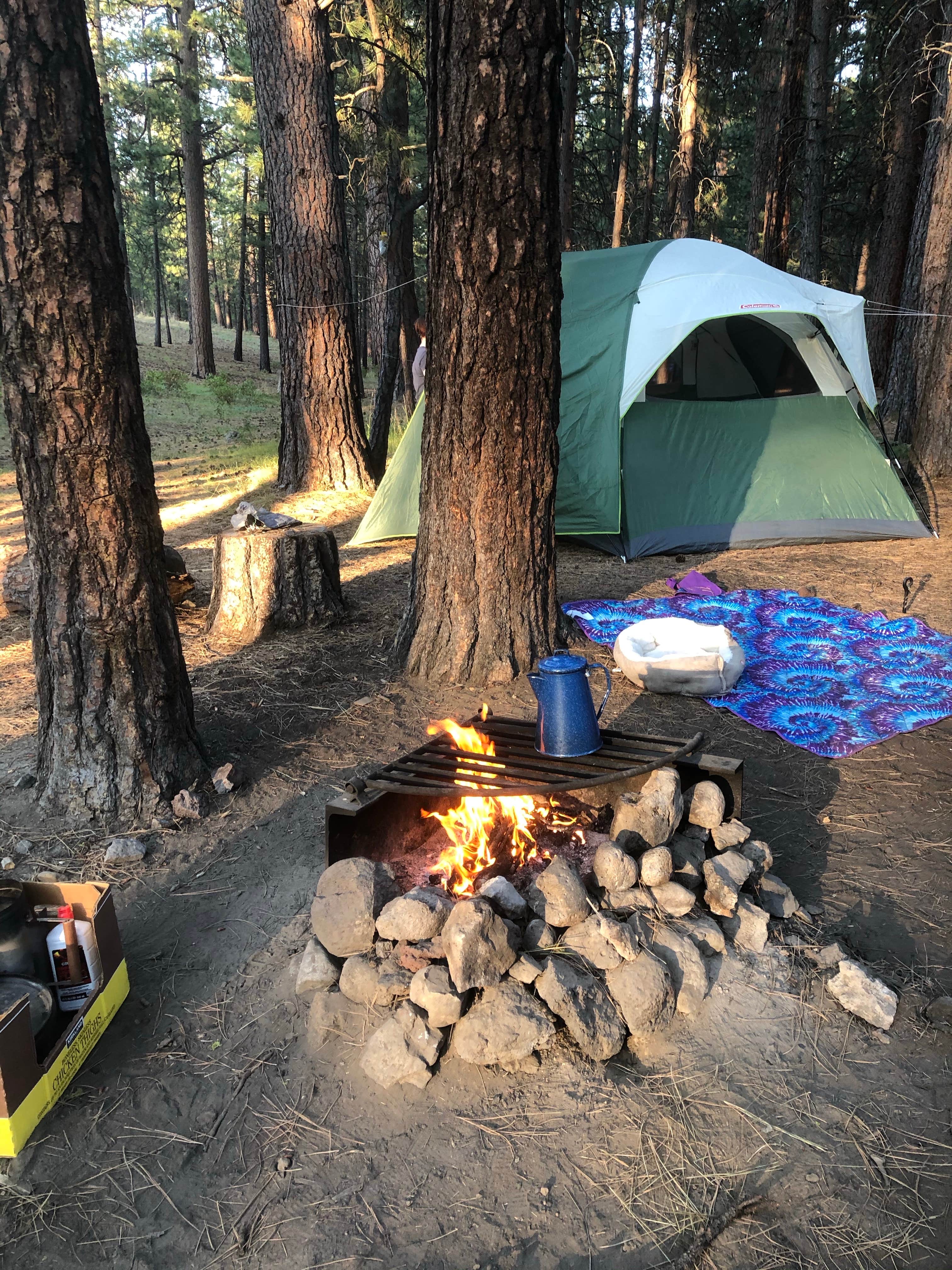 Julie K.'s photo of tent camping at Three Sisters Overlook Campsite near Point Baker, AK