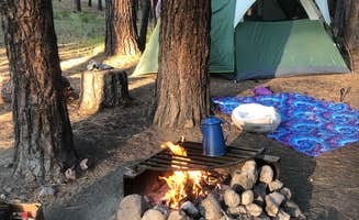 Julie K.'s photo of tent camping at Three Sisters Overlook Campsite near Point Baker, AK