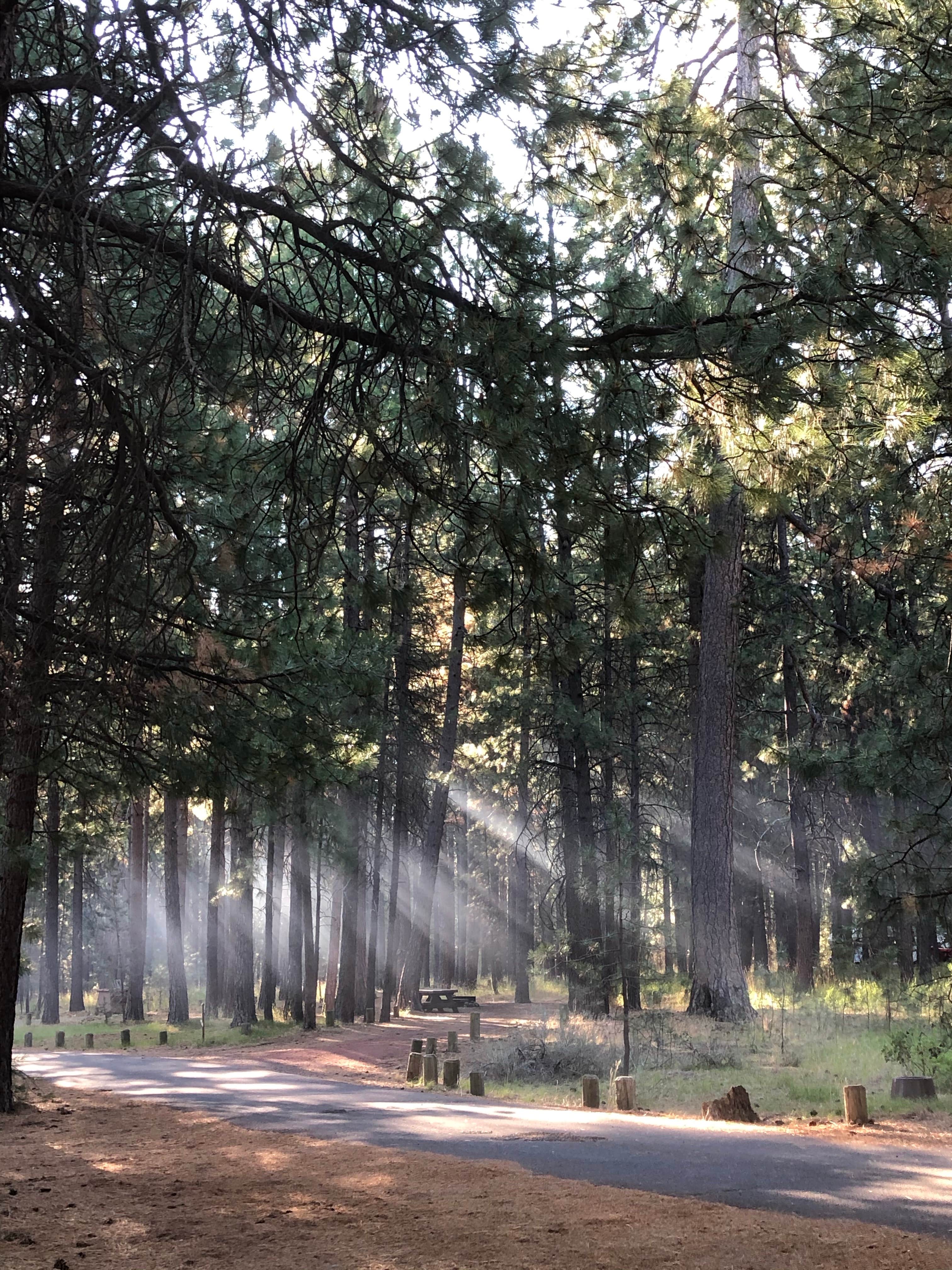 Camper-submitted photo at Three Sisters Overlook Campsite near Point Baker, AK
