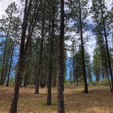 Review photo of Three Sisters Overlook Campsite by Julie K., October 26, 2020