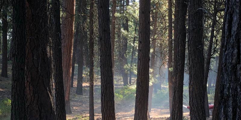 Camper submitted image from Three Sisters Overlook Campsite