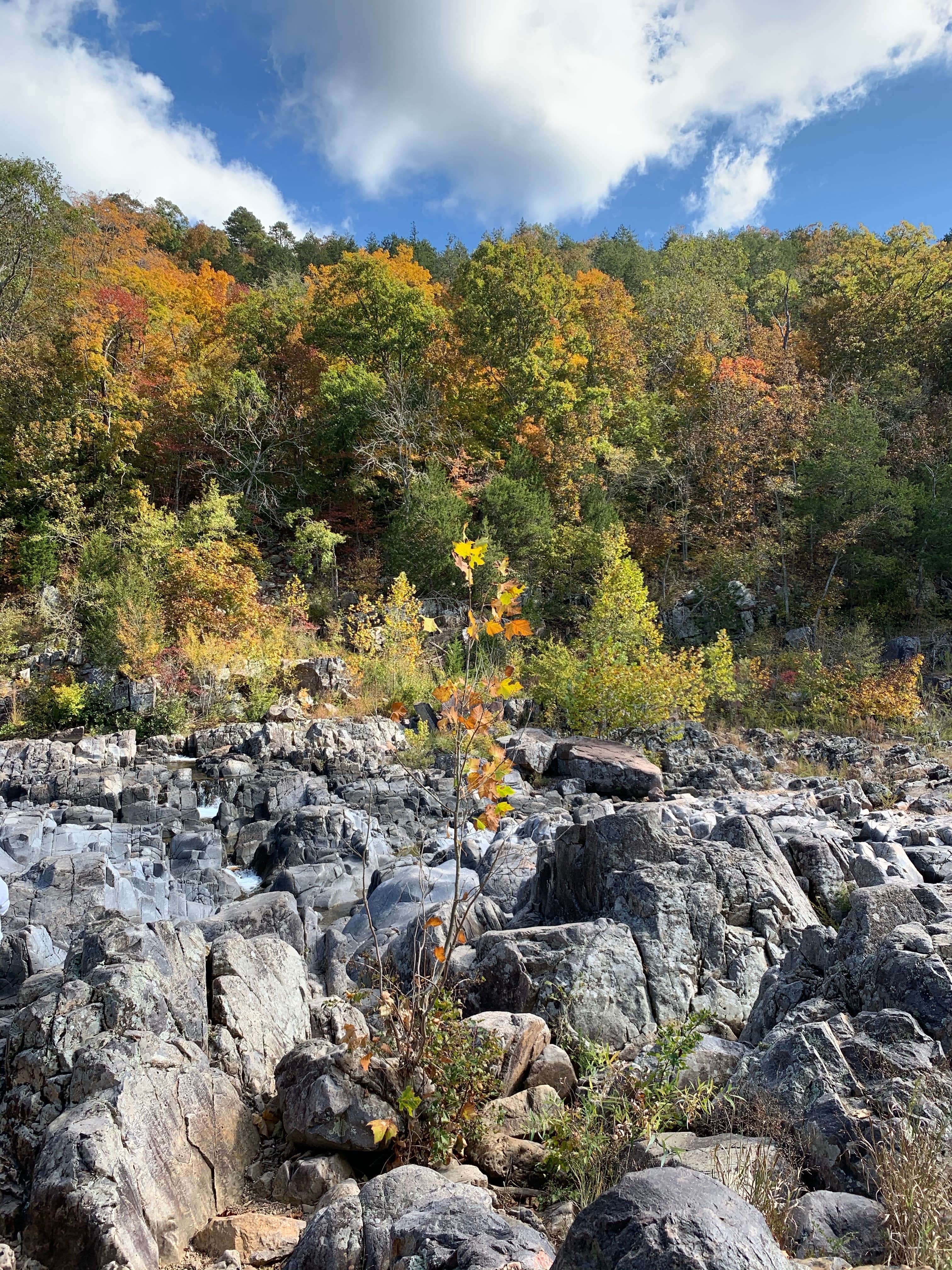 Camper-submitted photo at Johnson's Shut-Ins State Park in Missouri