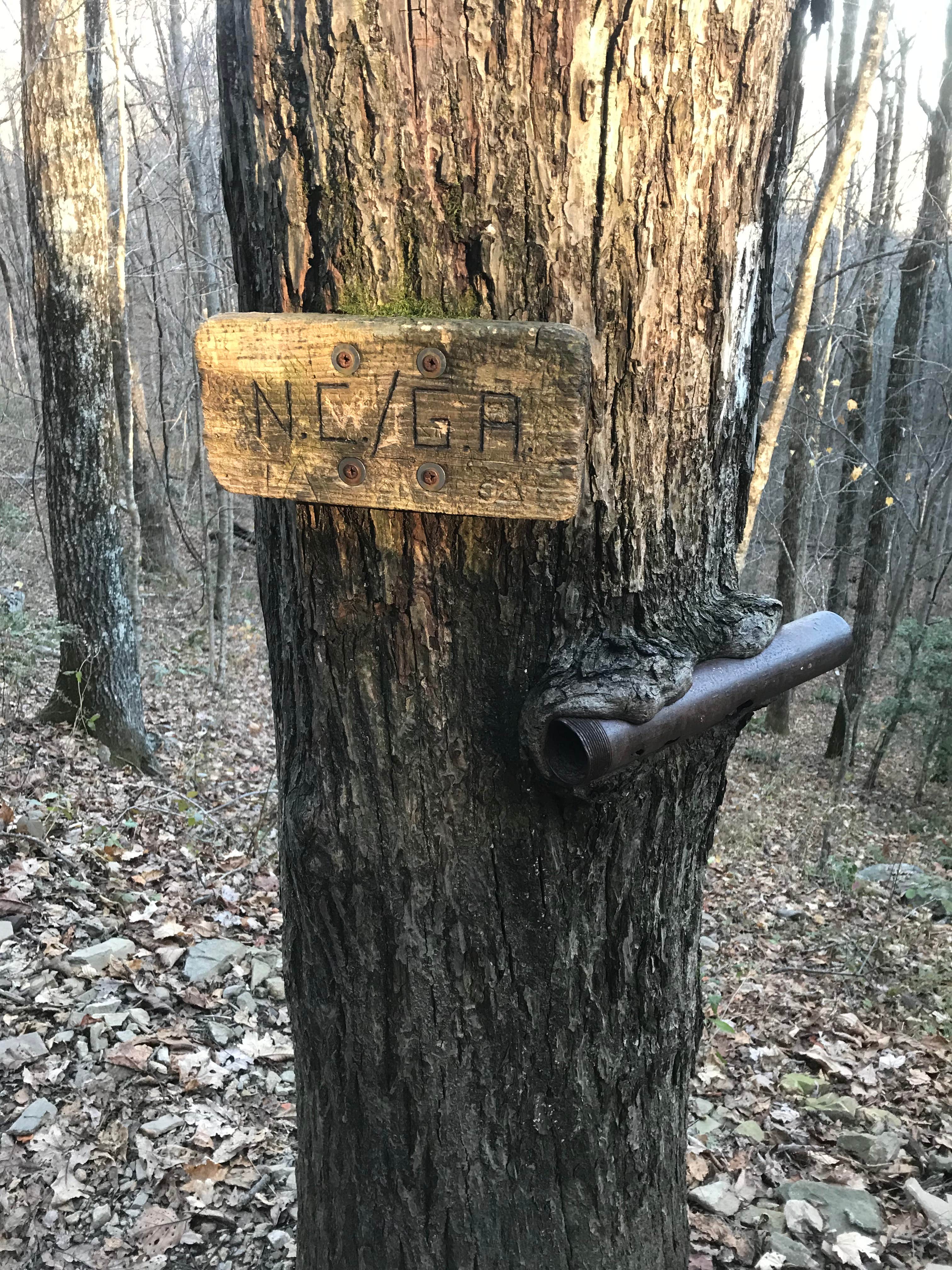 Camper-submitted photo at Bly Gap - Dispersed Camping near Hiawassee, GA