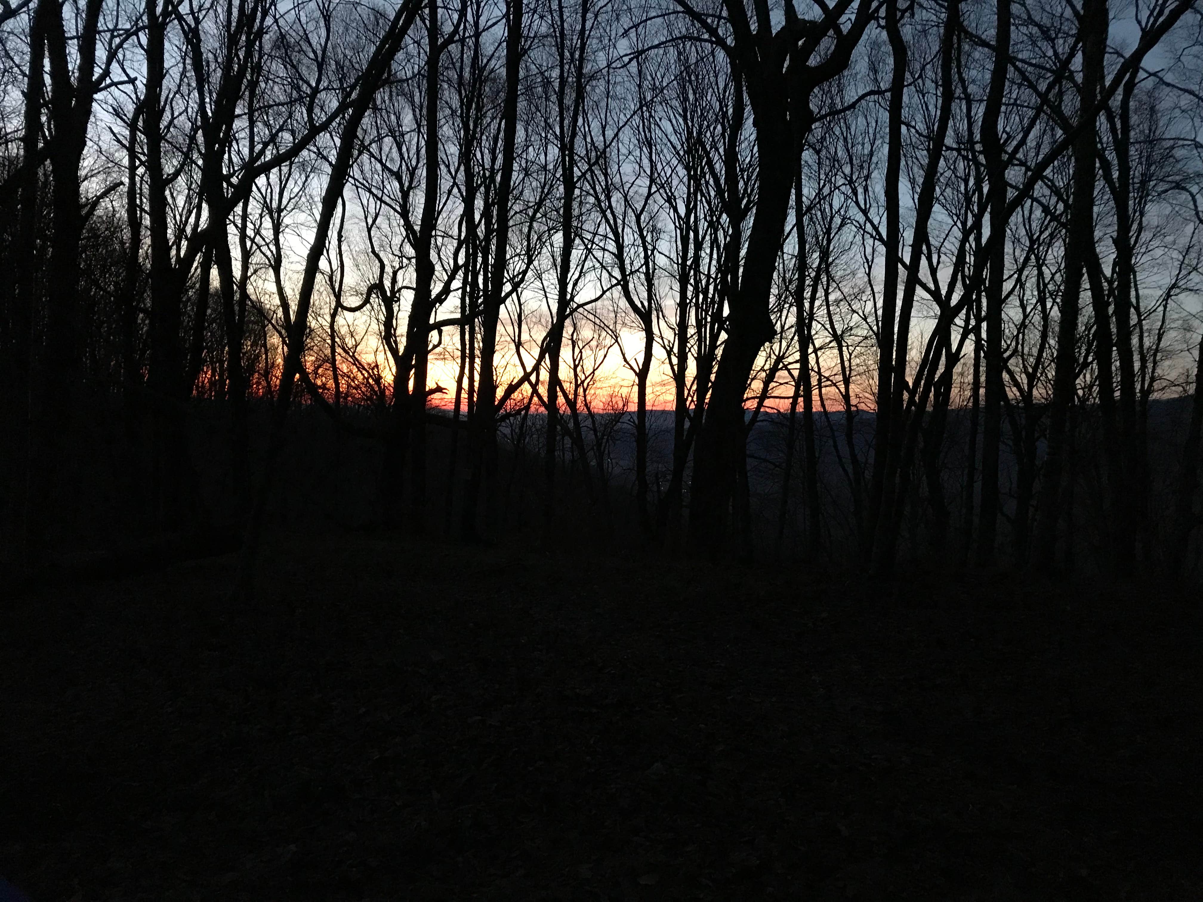 Clay A.'s photo of a dispersed camping area at Bly Gap - Dispersed Camping near Otto, NC