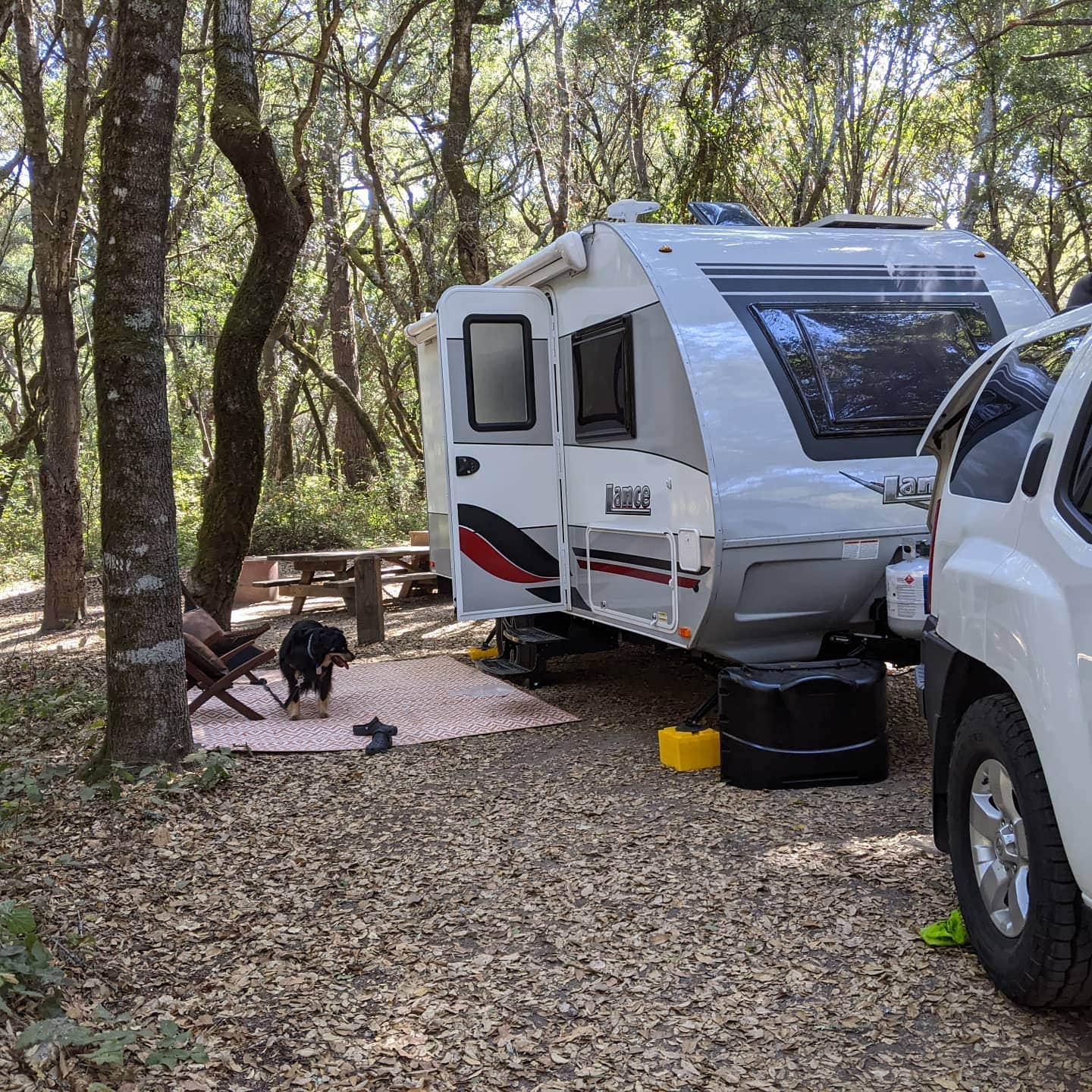 Peter M.'s photo of rv camping at Henry Cowell Redwoods State Park Campground near Bonny Doon, CA
