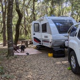 Review photo of Henry Cowell Redwoods State Park Campground by Peter M., October 26, 2020