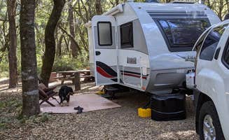 Peter M.'s photo of rv camping at Henry Cowell Redwoods State Park Campground near Santa Cruz, CA