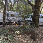 Review photo of Henry Cowell Redwoods State Park Campground by Peter M., October 26, 2020