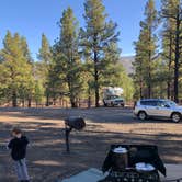 Review photo of Bonito Campground — Sunset Crater National Monument by Allison L., October 26, 2020