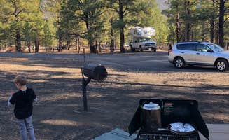 Allison L.'s photo at Bonito Campground — Sunset Crater National Monument near Gray Mountain, AZ