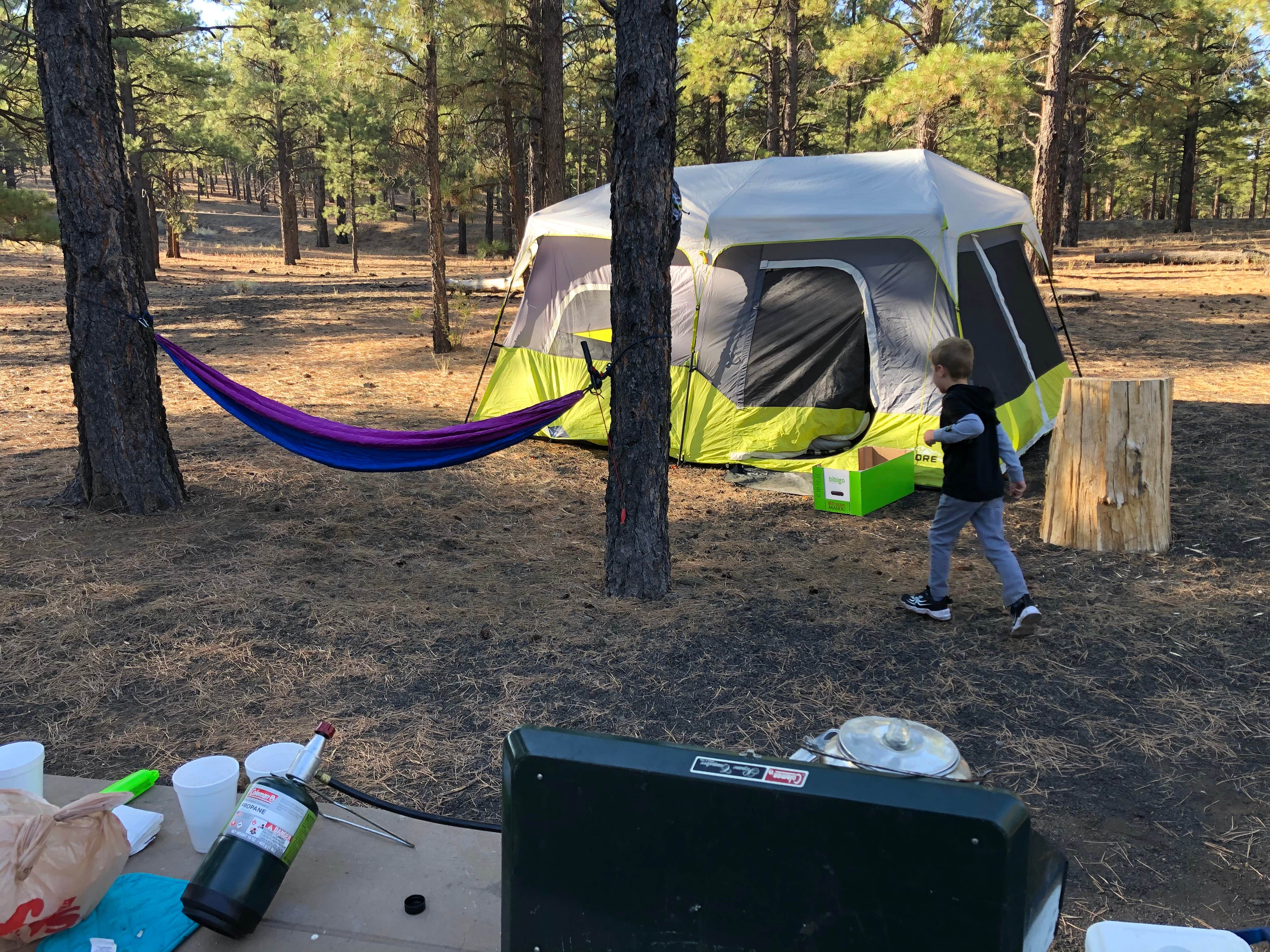 Allison L.'s photo at Bonito Campground — Sunset Crater National Monument near Leupp, AZ