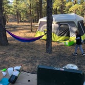 Review photo of Bonito Campground — Sunset Crater National Monument by Allison L., October 26, 2020