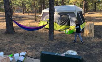 Allison L.'s photo at Bonito Campground — Sunset Crater National Monument near Leupp, AZ