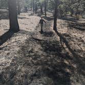 Review photo of Bonito Campground — Sunset Crater National Monument by Allison L., October 26, 2020