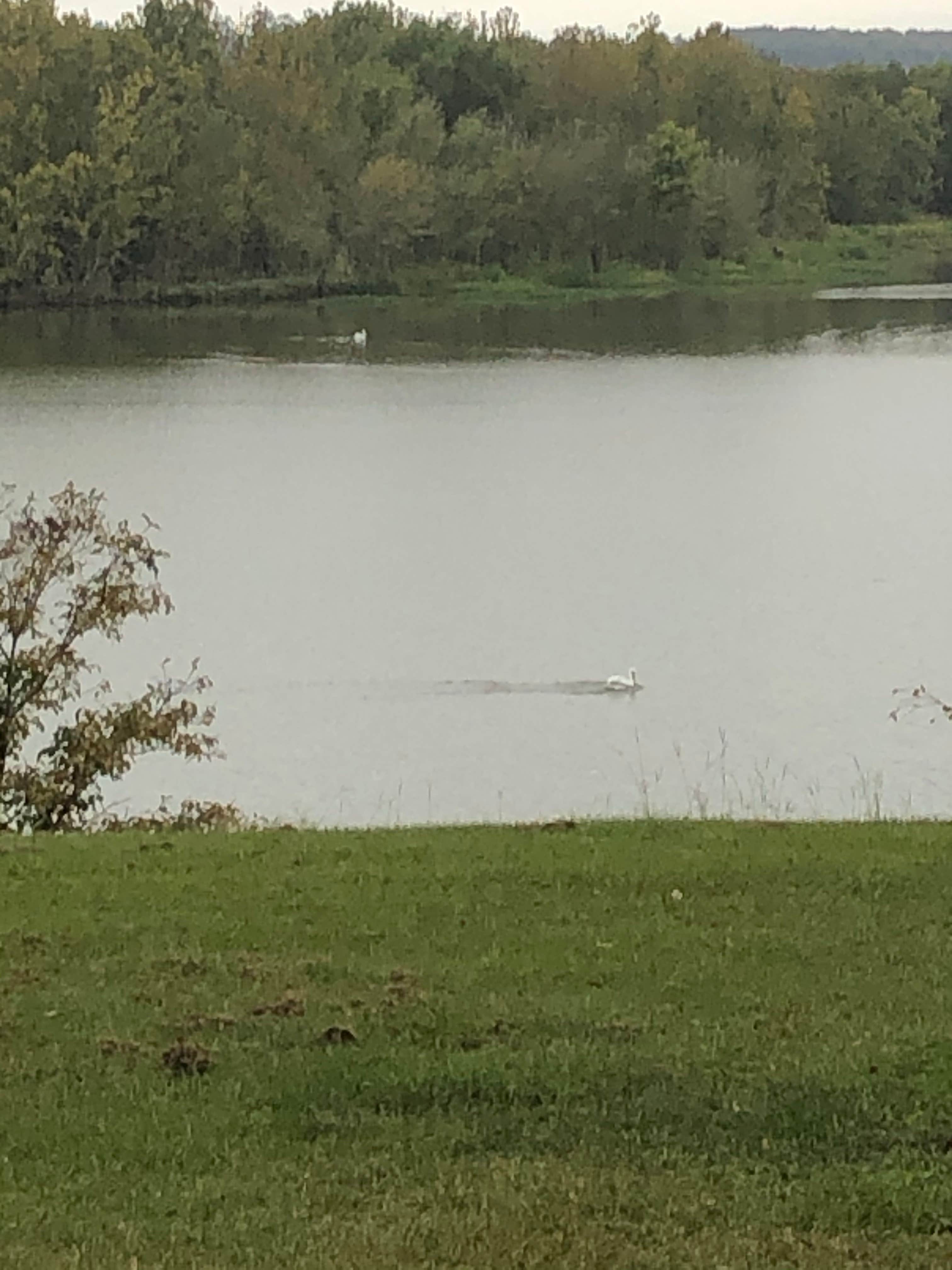 Camping near Spencer's Landing RV Park: Spadra Park Campground, Clarksville, Arkansas