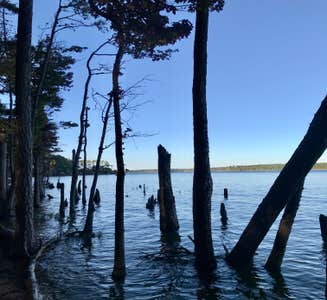Camper-submitted photo from Parkers Creek Campground — Jordan Lake State Recreation Area