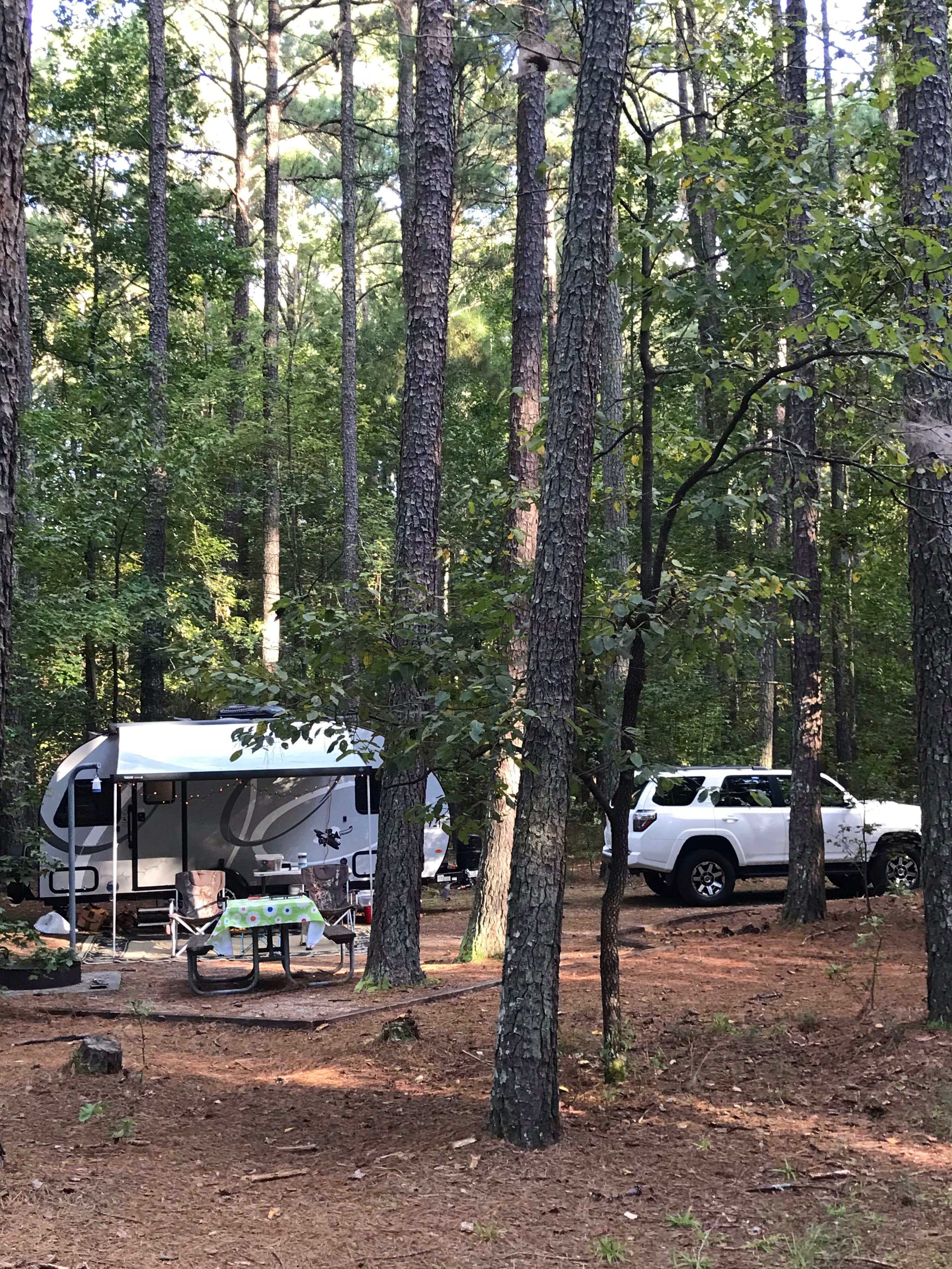 Camper submitted image from Parkers Creek Campground — Jordan Lake State Recreation Area - 4
