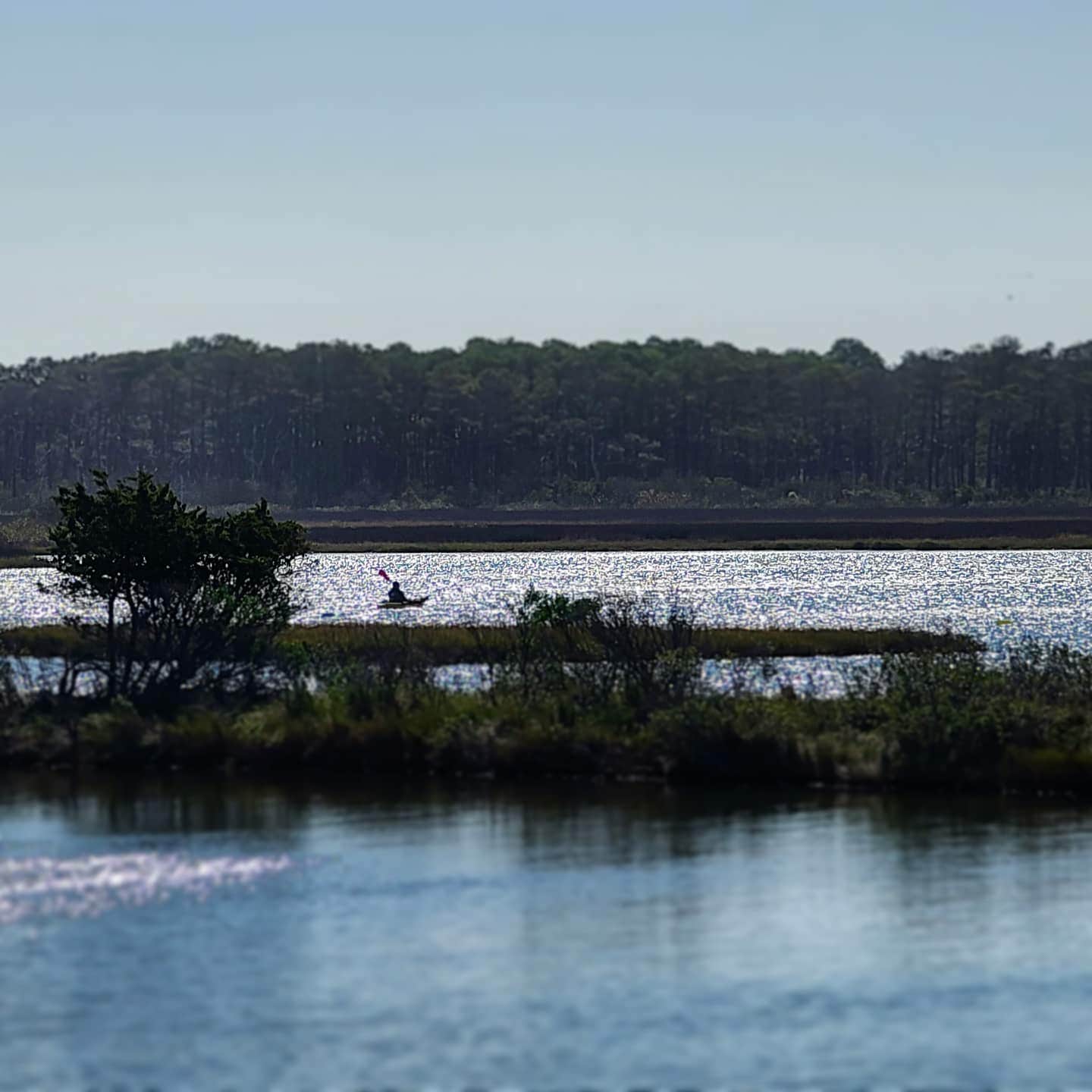 Camper-submitted photo at Assateague Island National Seashore Oceanside Campground in Maryland