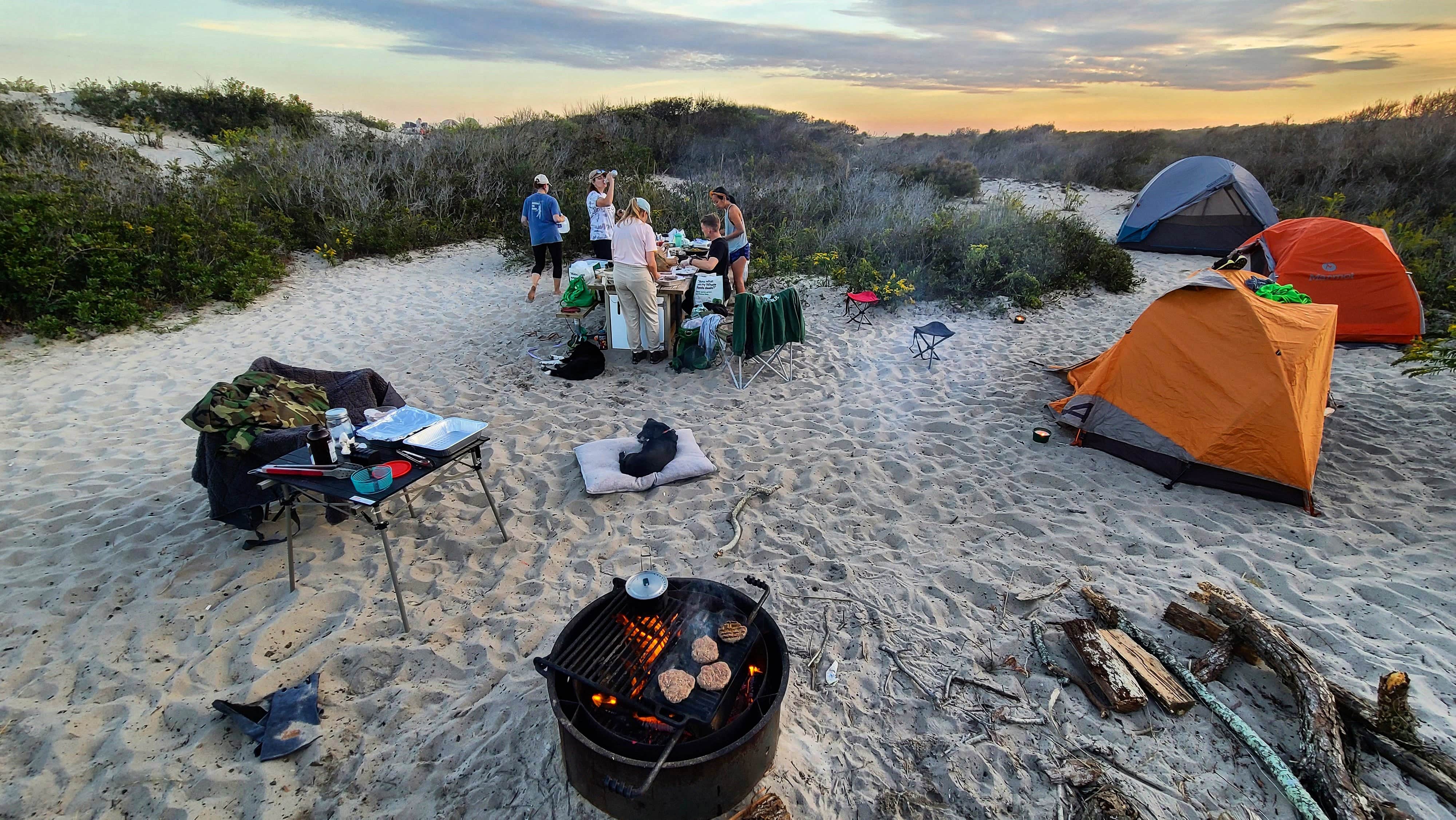 Camper-submitted photo at Assateague Island National Seashore Oceanside Campground in Maryland