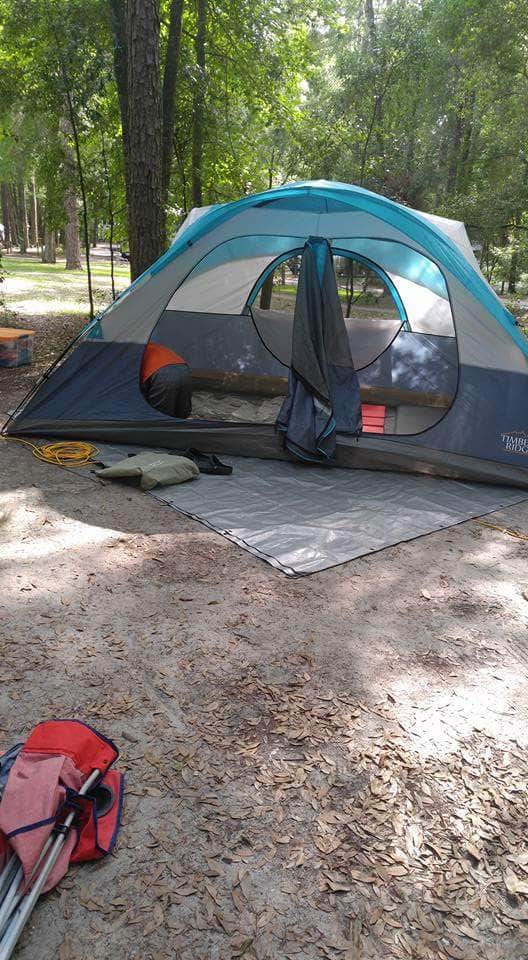 Laura C.'s photo at Suwannee River State Park Campground near Live Oak, FL