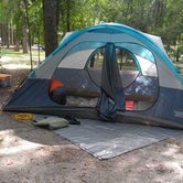 Review photo of Suwannee River State Park Campground by Laura C., May 22, 2018