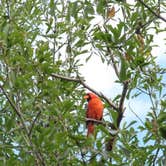 Review photo of Lake Tawakoni State Park Campground by Charyle C., October 27, 2020