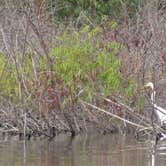 Review photo of Lake Tawakoni State Park Campground by Charyle C., October 27, 2020