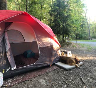 Camper-submitted photo from Frances Slocum State Park Campground