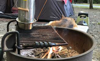 jennifer O.'s photo at Frances Slocum State Park Campground near Scranton, PA
