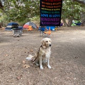 Review photo of Sycamore Canyon Campground — Point Mugu State Park by Javier M., October 27, 2020